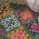 Isabea Performance Abstract Rug