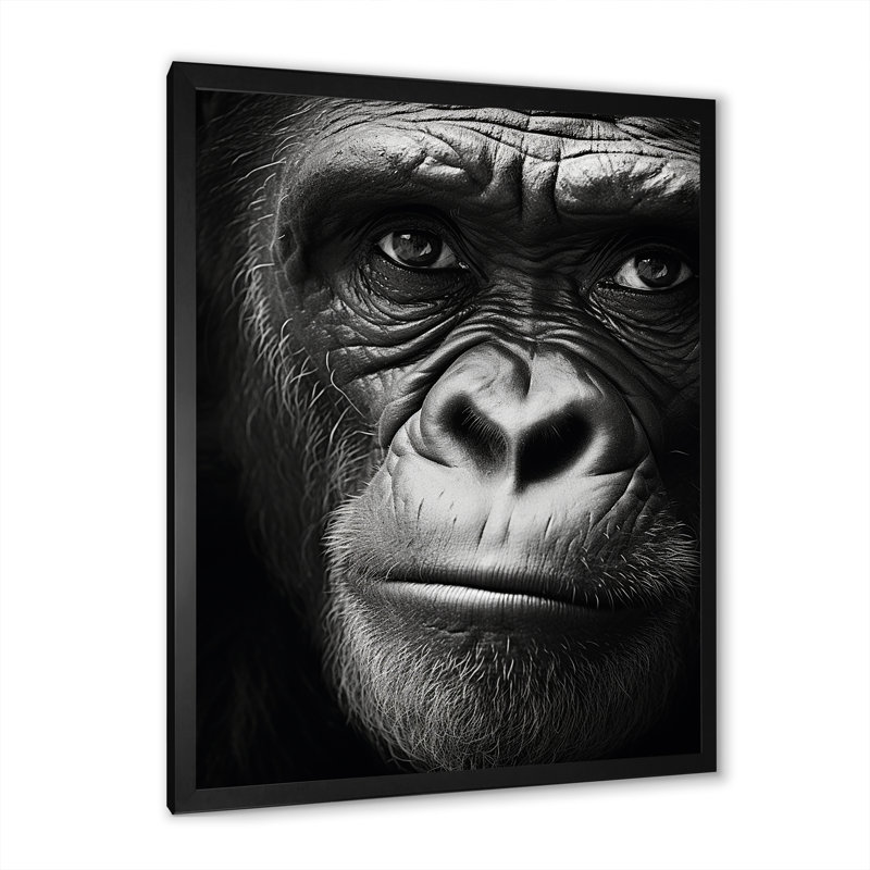 La matriarche gorille sur toile, Cadre simple noir, H 32 po x l 24 po x P 1 po