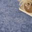 Tapis bleu rétro 9 pi x 12 pi DCLY Pure Shades-119343144