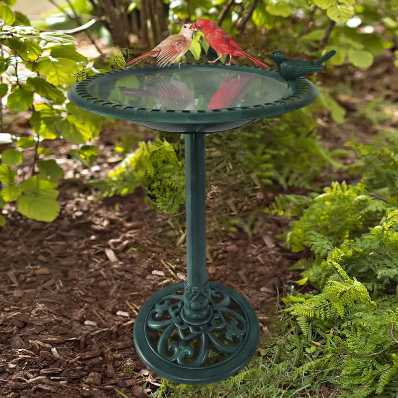 Bain d'oiseaux Aderes, Vert