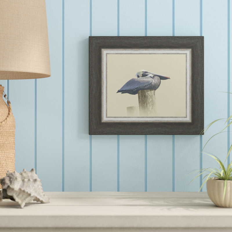 " Pelican "