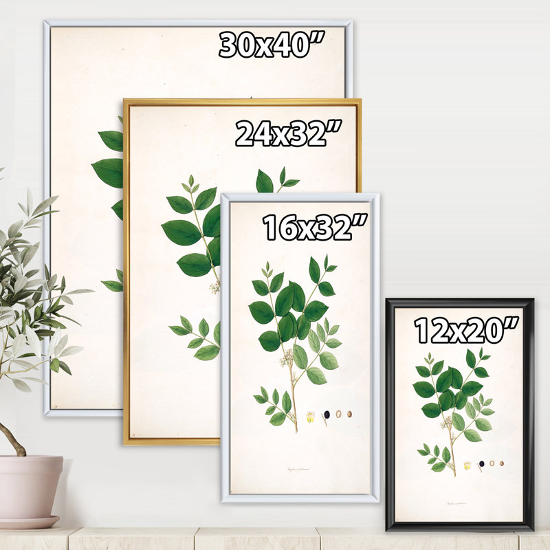 Vintage Botanicals VI - peinture sur toile, H 32 po x l 24 po x P 1 po, Cadre flottant blanc