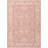 Chenille Oriental Indoor Rug