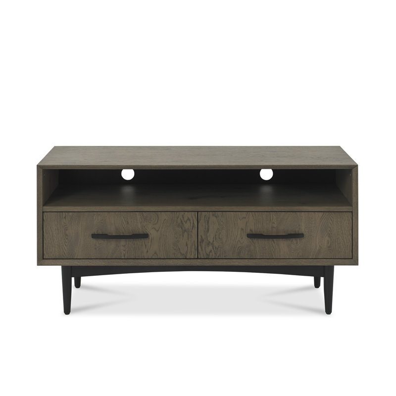 Hester TV Stand for TVs up to 55"