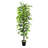 120'' Faux Ficus Tree in Pot-860787296