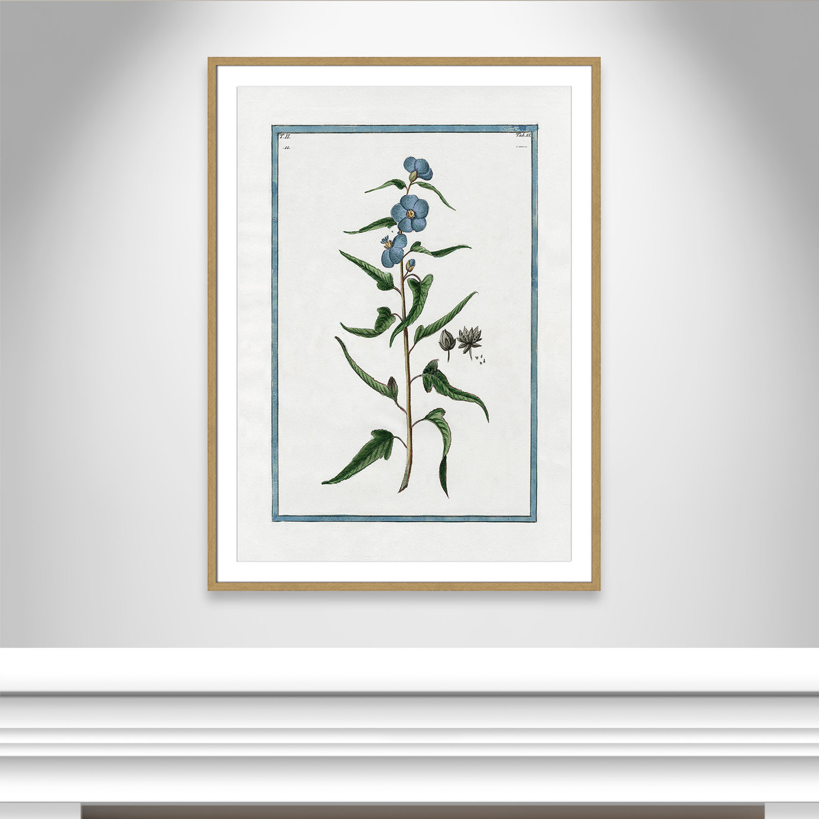 Colombe "Shabby Elegance Botanical I" Print, 29.5" W x 41.5" H, Natural Framed