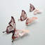 Butterflies Mix Wall Sticker