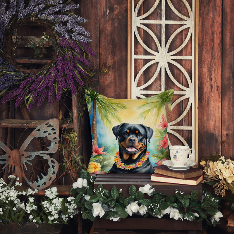 Other/No Pattern Outdoor Throw Pillow, 14" H x 14" W