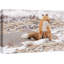 Renard dans la nature en hiver sur toile-93629324-93629326