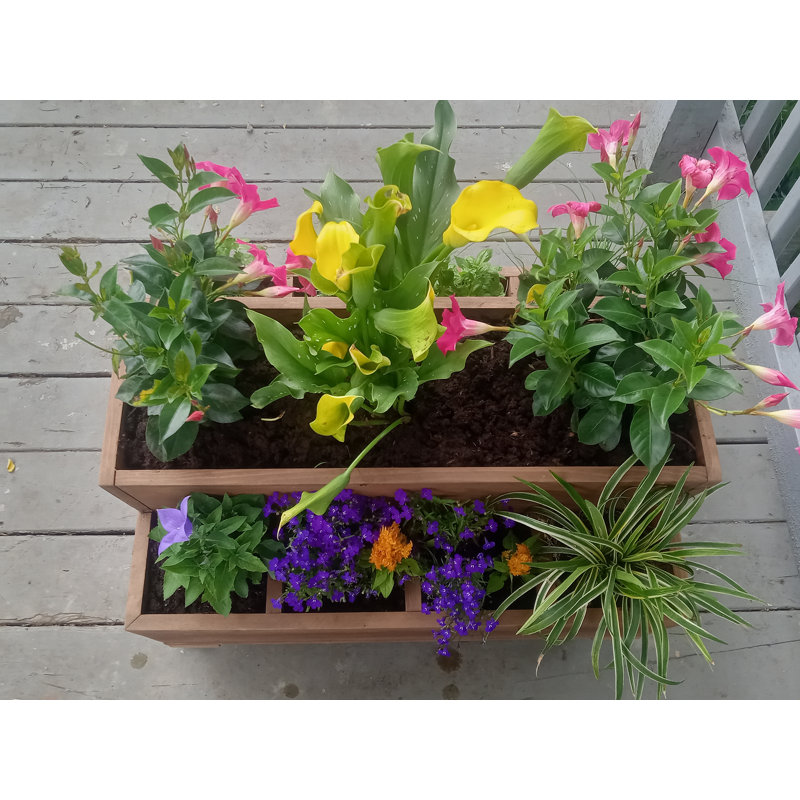 Handmade Wood Planter Box