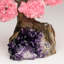 Small Rose Quartz Clustered Gemstone on Amethyst Matrix (The Love Tree)