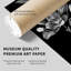 Floral noir et blanc, fleur de Draeam VI, impression d'art moderne sans cadre