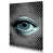 Wrapped Canvas