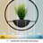 Wrought Studio™ Litta Modern Planter and Pendant light, Matte black