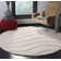 Ashal Abstract Cream Area Rug