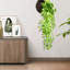 35,4 po plante faux bégonia