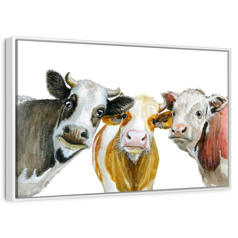 Cows, 46" X 31", Floating Frame White