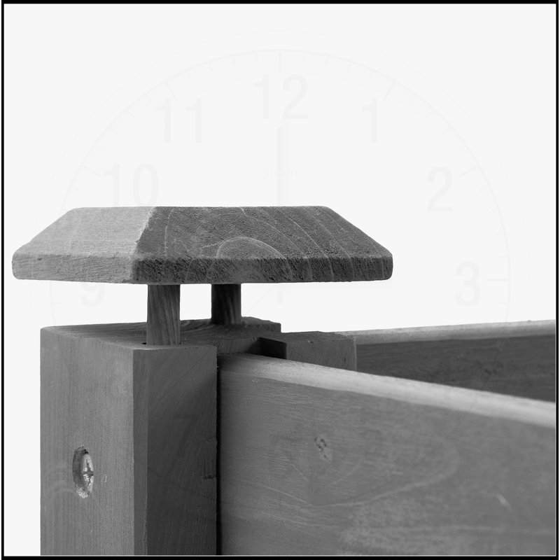 Lit de jardin surélevé avec pieds, H 30 po x l 48 po x P 48 po