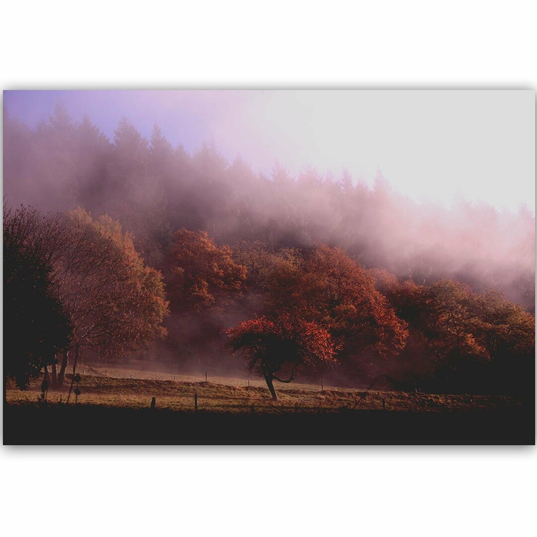 Leinwandbild Bäume im Nebel