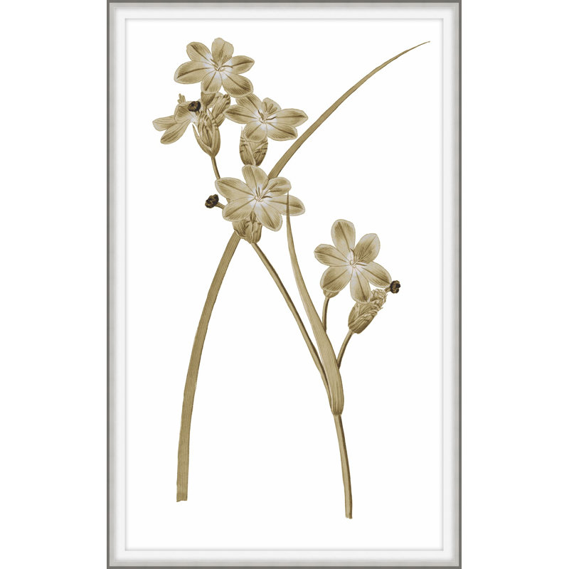 Sweet Preservation 7 Print by Art House Studios, 38" H x 25" W x 2" D