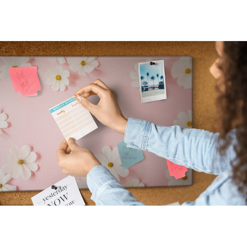 Annja Cork Corkboard / Bulletin Board