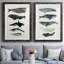Baleine graphique I - ensemble de 2 cadres photo-966349126-966349135-1023591133
