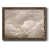 Noyer