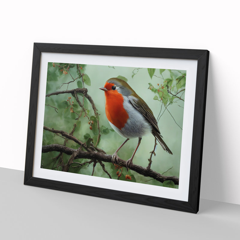 XH1022-9697X Vivacious Robin Bird - Single Picture Frame Print, 46cm H x 64cm W, Black