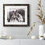 Chevaux sauvages - Photographie avec cadre photo-2049819174-2049819175