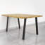 Trina Table Leg-1140109979