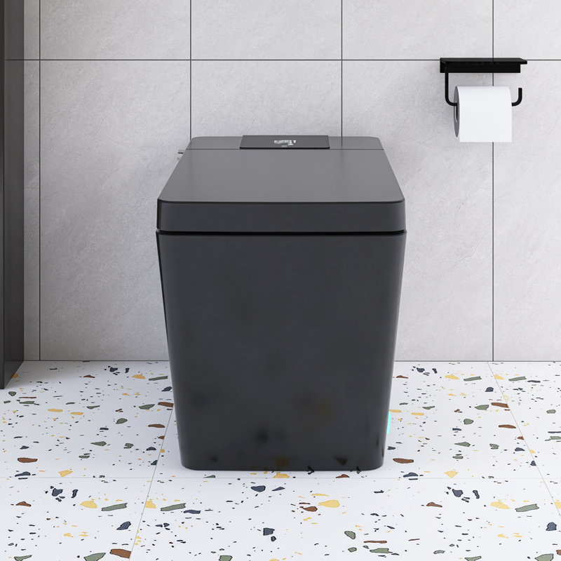 Toilette simple en céramique Smart 1,28 GPF, Noir
