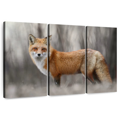 Charming Red Fox
