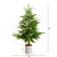 5' Pine Christmas Tree