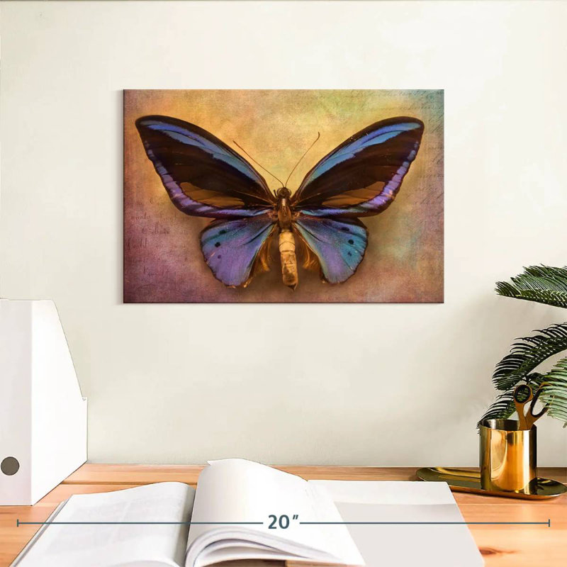 Papillon original, H 8 po x l 12 po