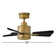 30" Leventhal 3  - Blade LED Standard Ceiling Fan with Wall Control and Light Kit Included