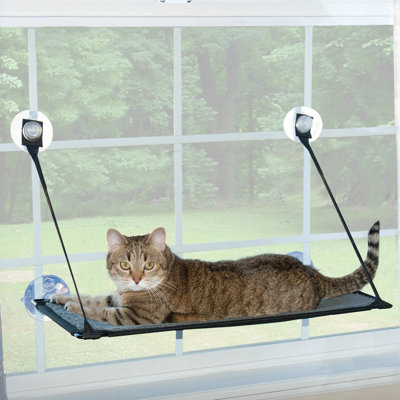 Heilyn Cat Perch
