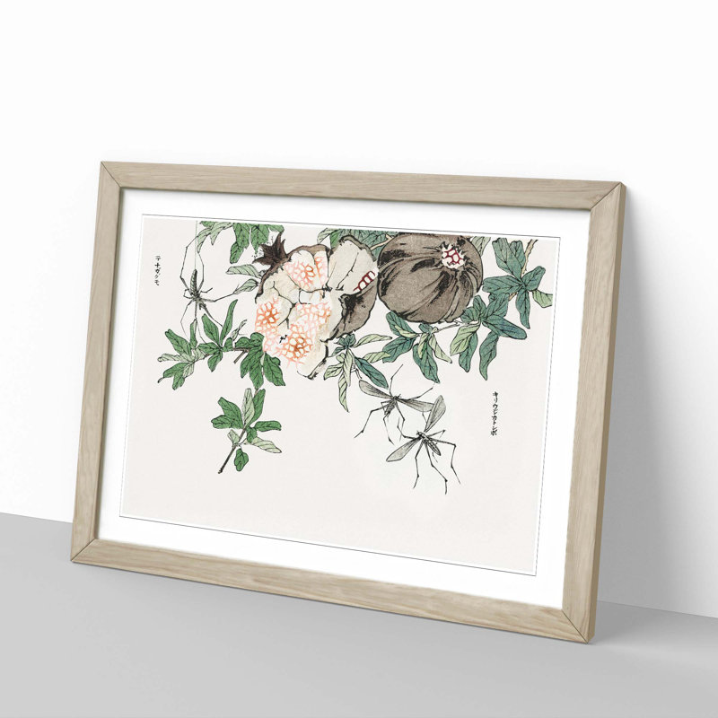Pomegranate by Morimoto Toko - Picture Frame Painting Print, Oak, 40cm H x 60cm W x 2cm D