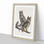 Great Horned Owls by John Audubon - Picture Frame Painting Print-55575502-55575503