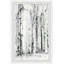 Woodland Patches by Parvez Taj - Single Picture Frame Painting-38598645