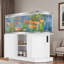 Support d'aquarium avec prise de courant et armoire de rangement