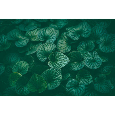 Green Leaves Background - Wrapped Canvas Print