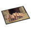 Paillasson d’extérieur antidérapant Diem Pigs Piglets-1581854906