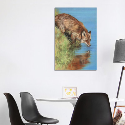 Fox Drinking At River by David Stribbling - Wrapped Canvas Gallery-Wrapped Canvas Giclée