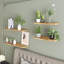 Sugden 2 Piece Floating Shelf