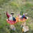  2 Piece Cute Gnomes on Mushroom Statues