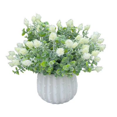 Arrangement de bébé en pot