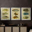 Trio de poissons tropicaux I - Toile tendue avec châssis sur mesure - 3 pièces-798829240-798829241