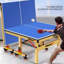 Table de ping-pong pliable d'intérieur avec roulettes