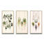 «Hanging Houseplants Boho Botanical Watercolor», 3 pièces sur toile-1594105592-1594105594