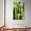 Harnek Totem cactus-117534185